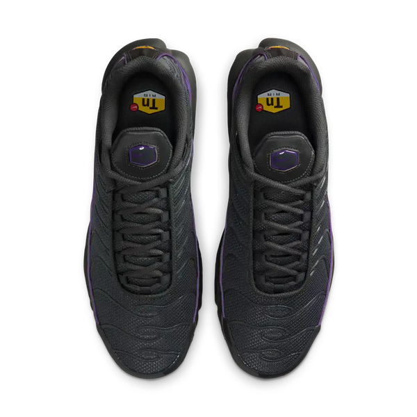 Nike Air Max Plus Grey/Wild Grape