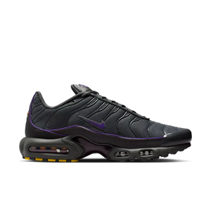 Nike Air Max Plus Grey/Wild Grape
