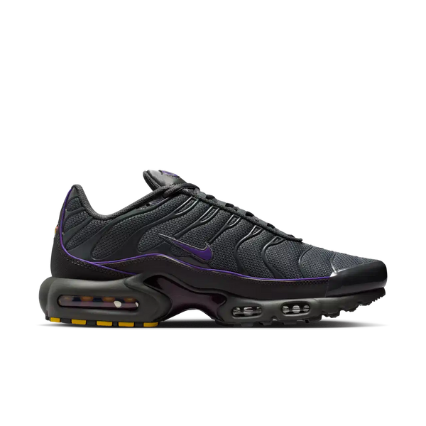 Nike Air Max Plus Grey/Wild Grape