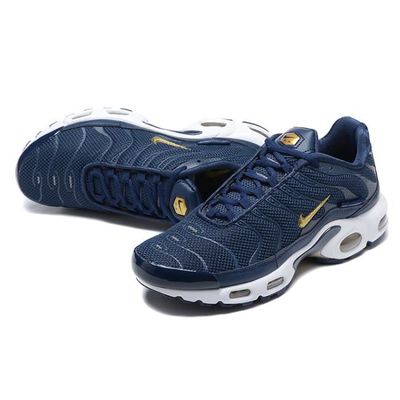 Nike Air Max Plus "FFF"